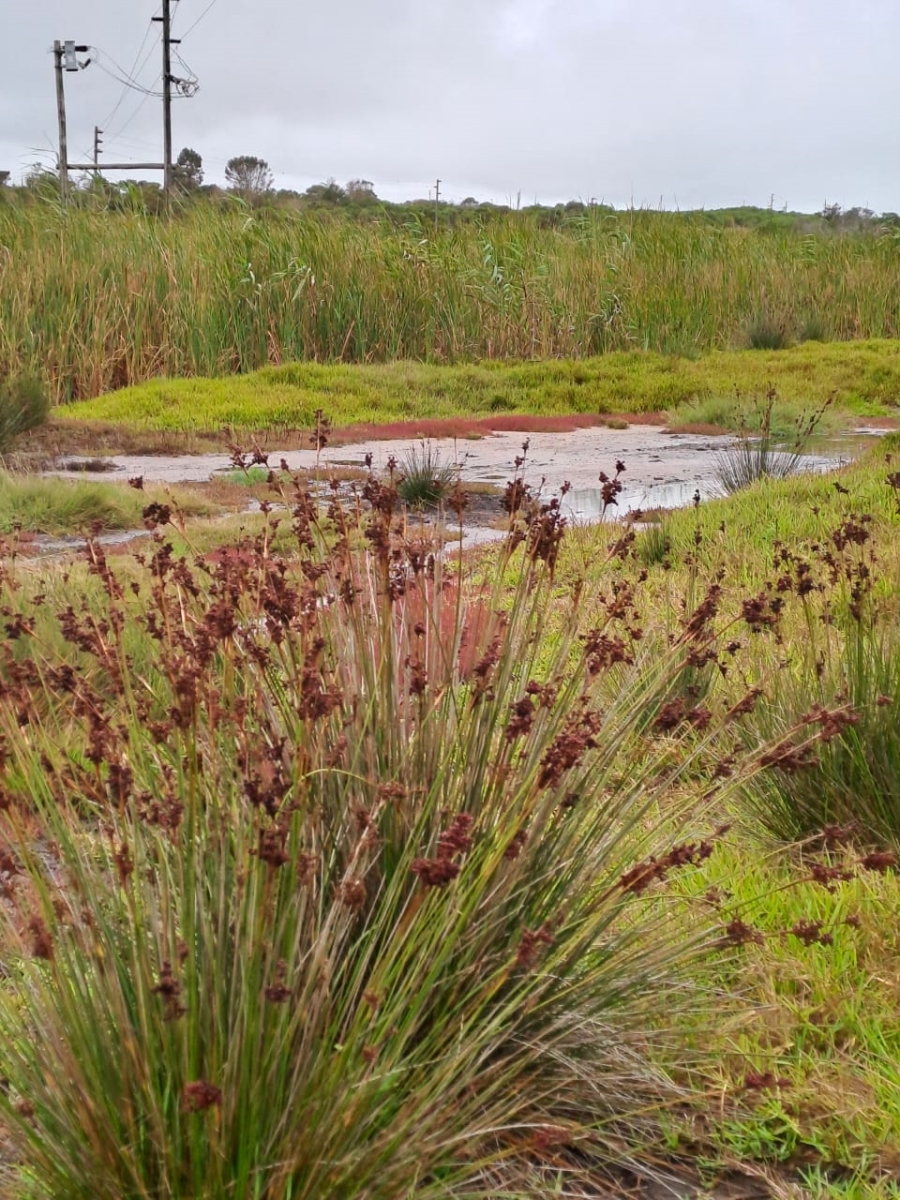 Commercial Property for Sale in St Francis Bay Rural Eastern Cape